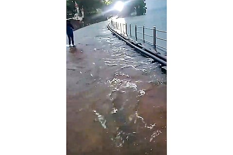 Vihar Lake overflows in Mumbai